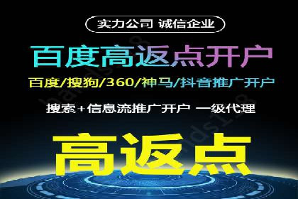 谷歌竞价广告在电商行业的运用案例